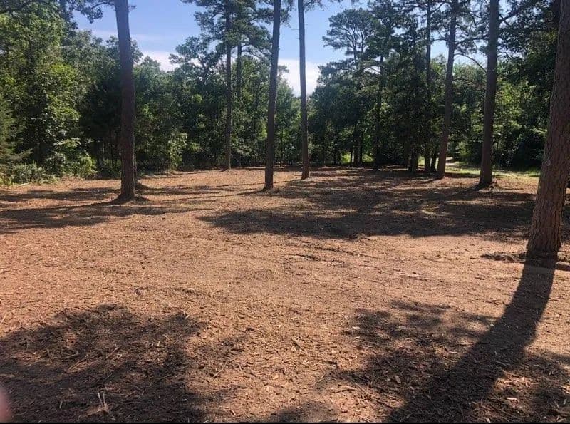 Vacant Land in Scroggins - Scroggins, Texas, 75480