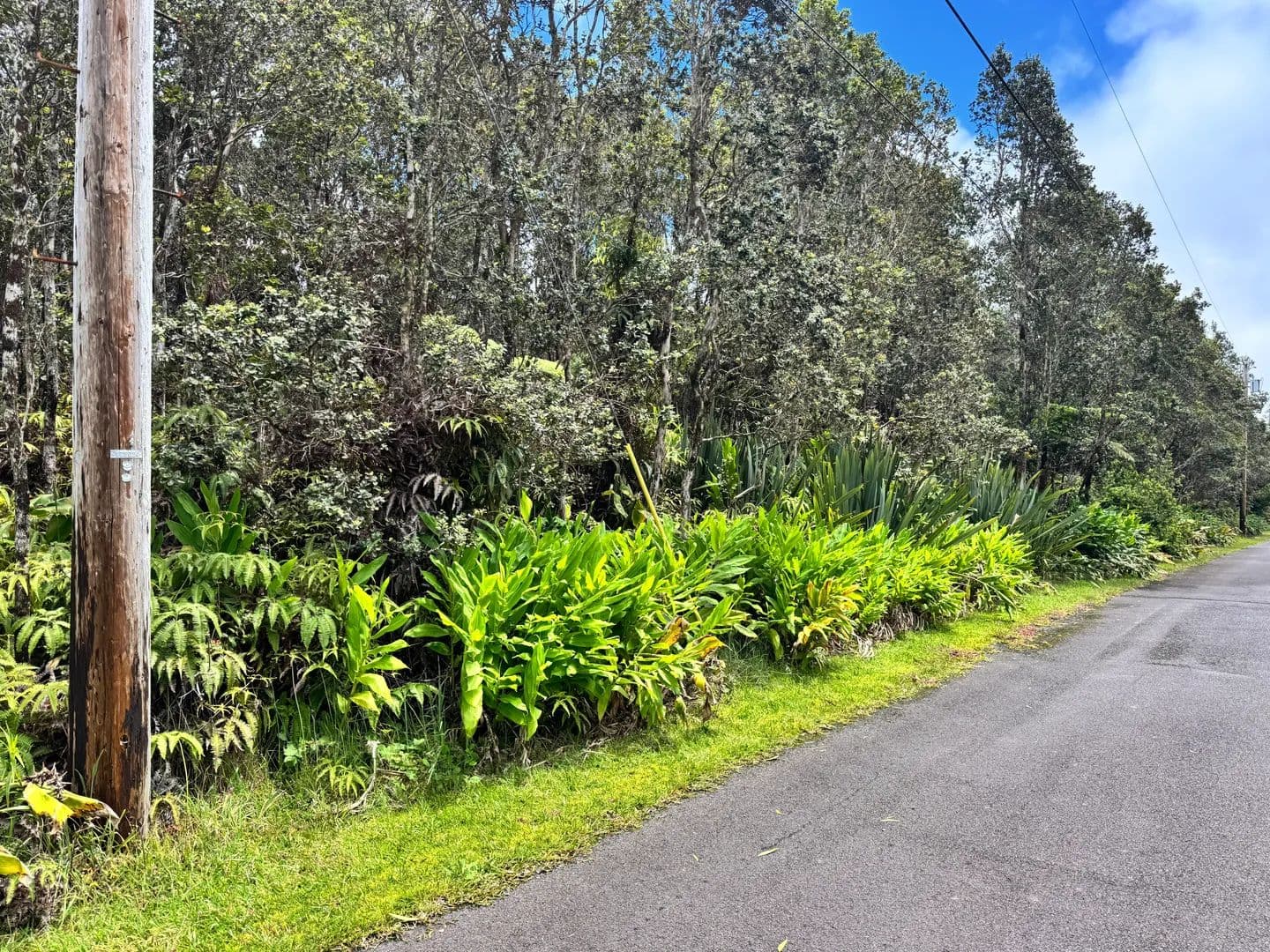 Vacant Land in Volcano - Volcano, Hawaii, 96785
