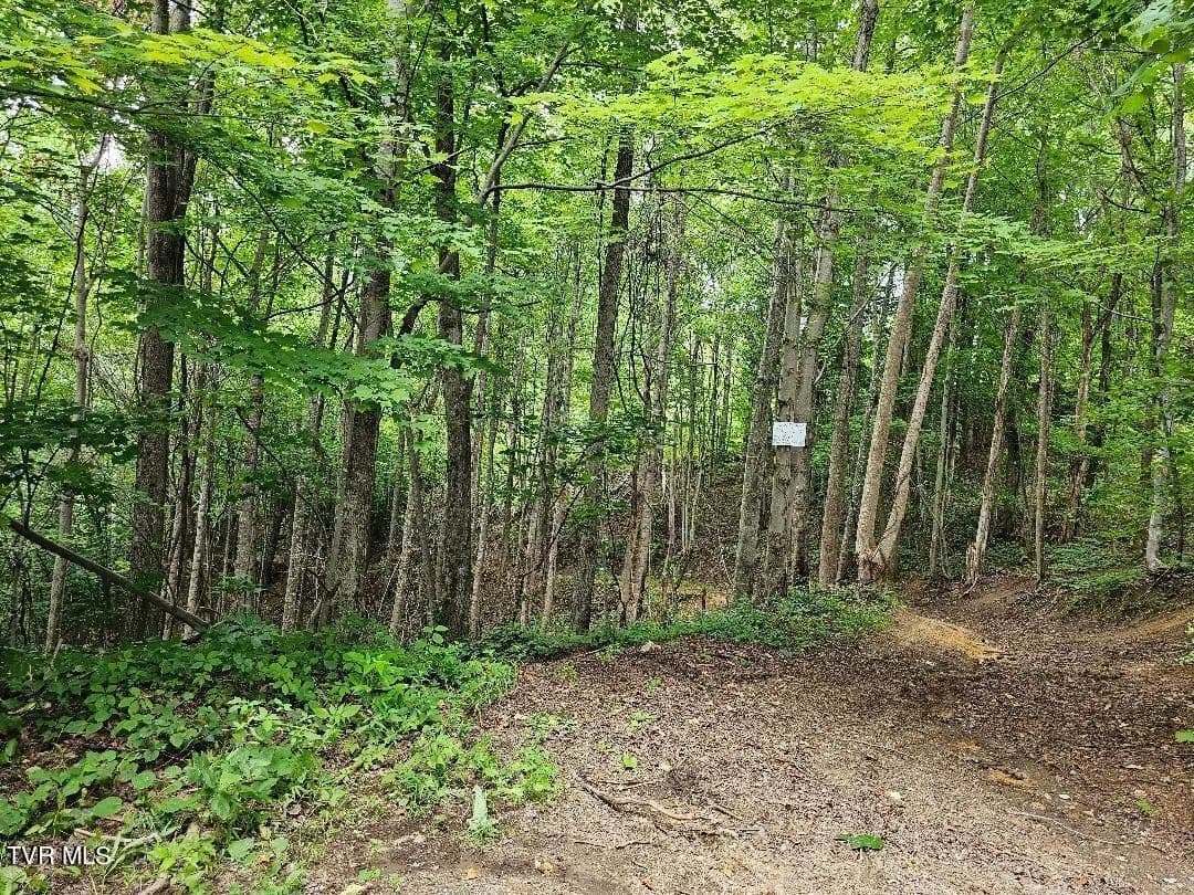 Lots & Land-Other in Coeburn - Coeburn, Virginia, 24230
