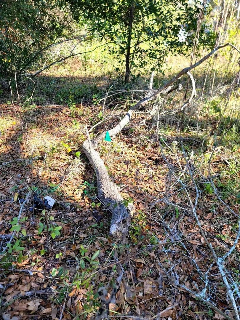 Lots & Land-Other in Tallahassee