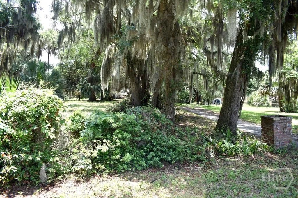 0.48 Acres of Land for Sale in Savannah, GA - Savannah, Georgia, 31410