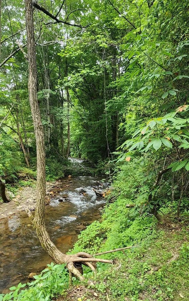 2.25 Acres of Land for Sale in Sylva, NC - Sylva, North Carolina, 28779