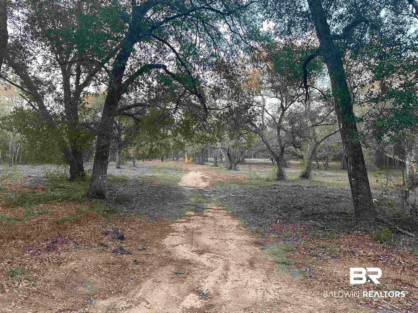 Lots & Land-Other in Lillian - Lillian, Alabama, 36549