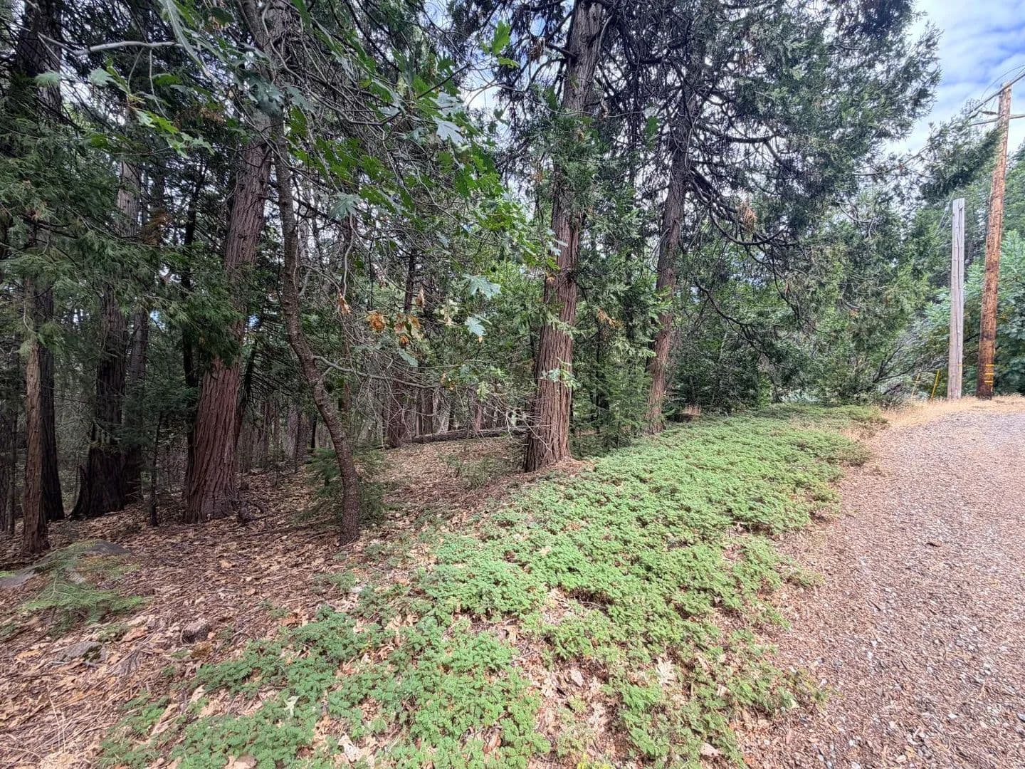 Vacant Land in Pollock Pines - Pollock Pines, California, 95726