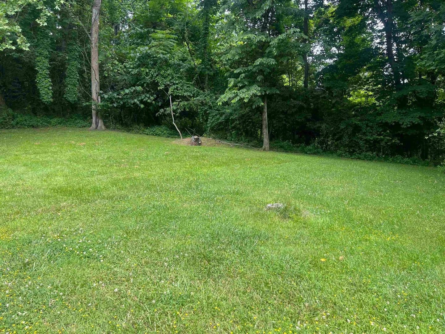 Lots & Land-Other in Huntington - Huntington, West Virginia, 25705