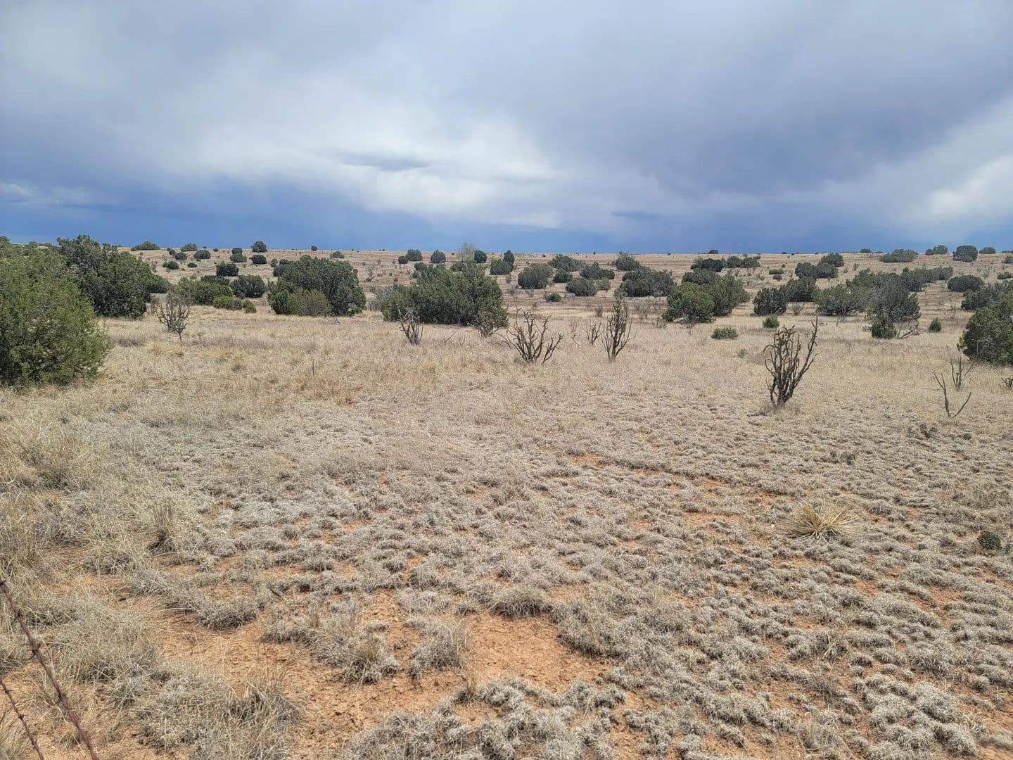 Property from Unknown Address - KW - Edgewood, New Mexico, 87015