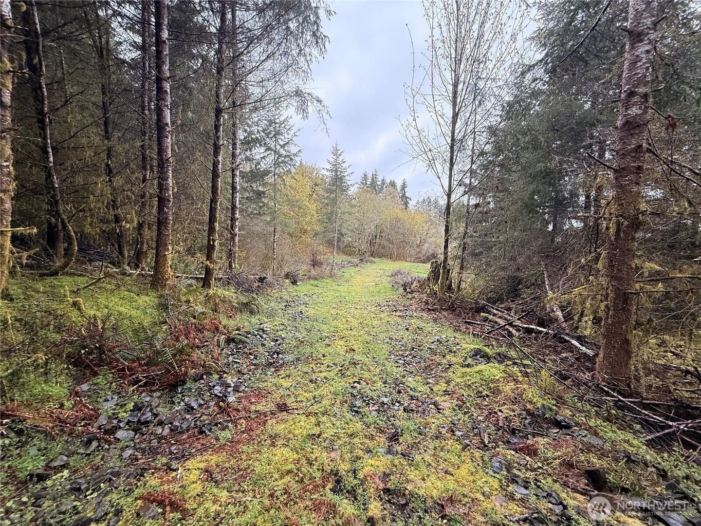Vacant Land in Adna - Adna, Washington, 98522