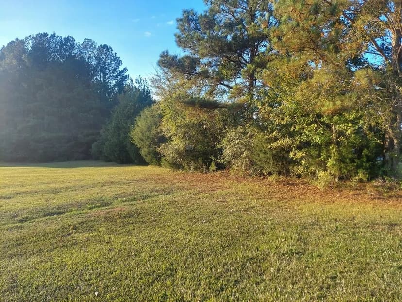 Lots & Land-Other in Appling