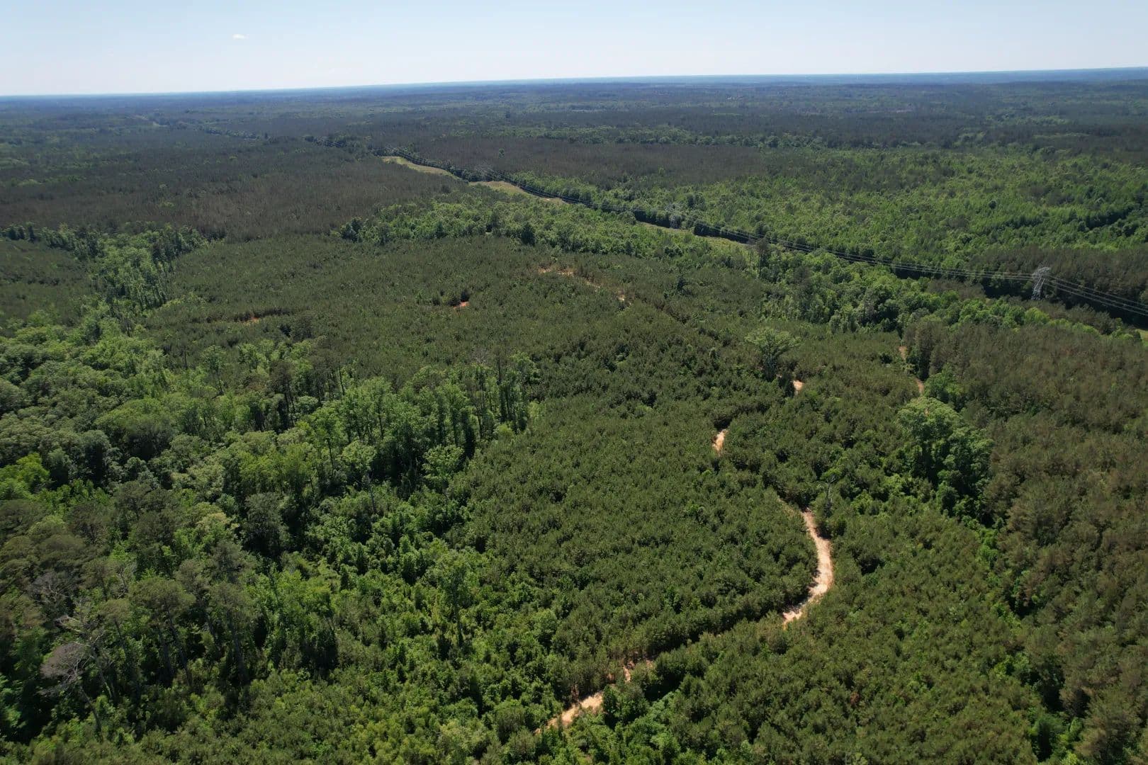 410.8 Acres in Madison County, MS  - Camden, Mississippi, 39045