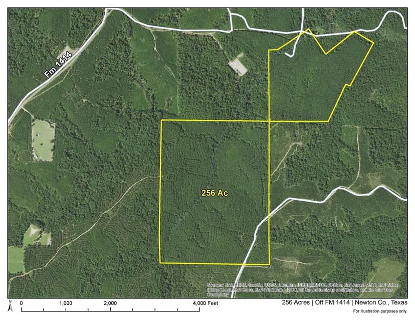 256 Acres | Off FM 1414 | 6909
