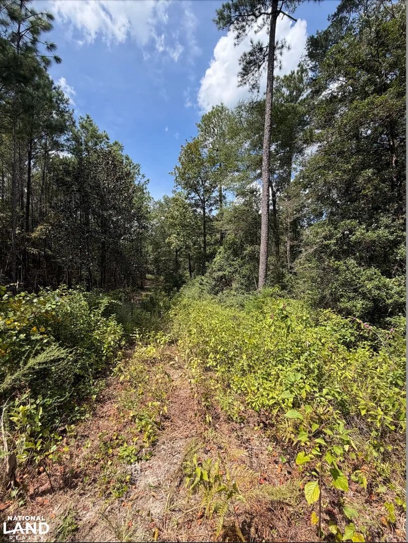 8+ Wooded Brewton Tract - East Brewton, Alabama, 36426