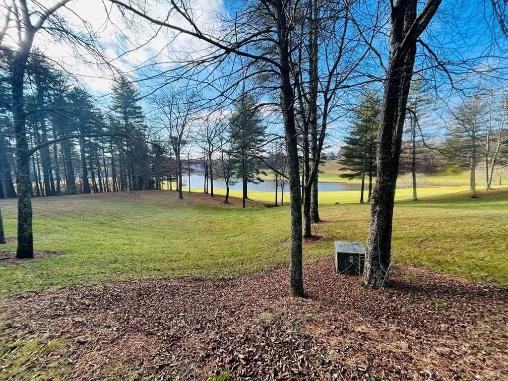 Vacant Land in Laurel Fork - Laurel Fork, Virginia, 24352