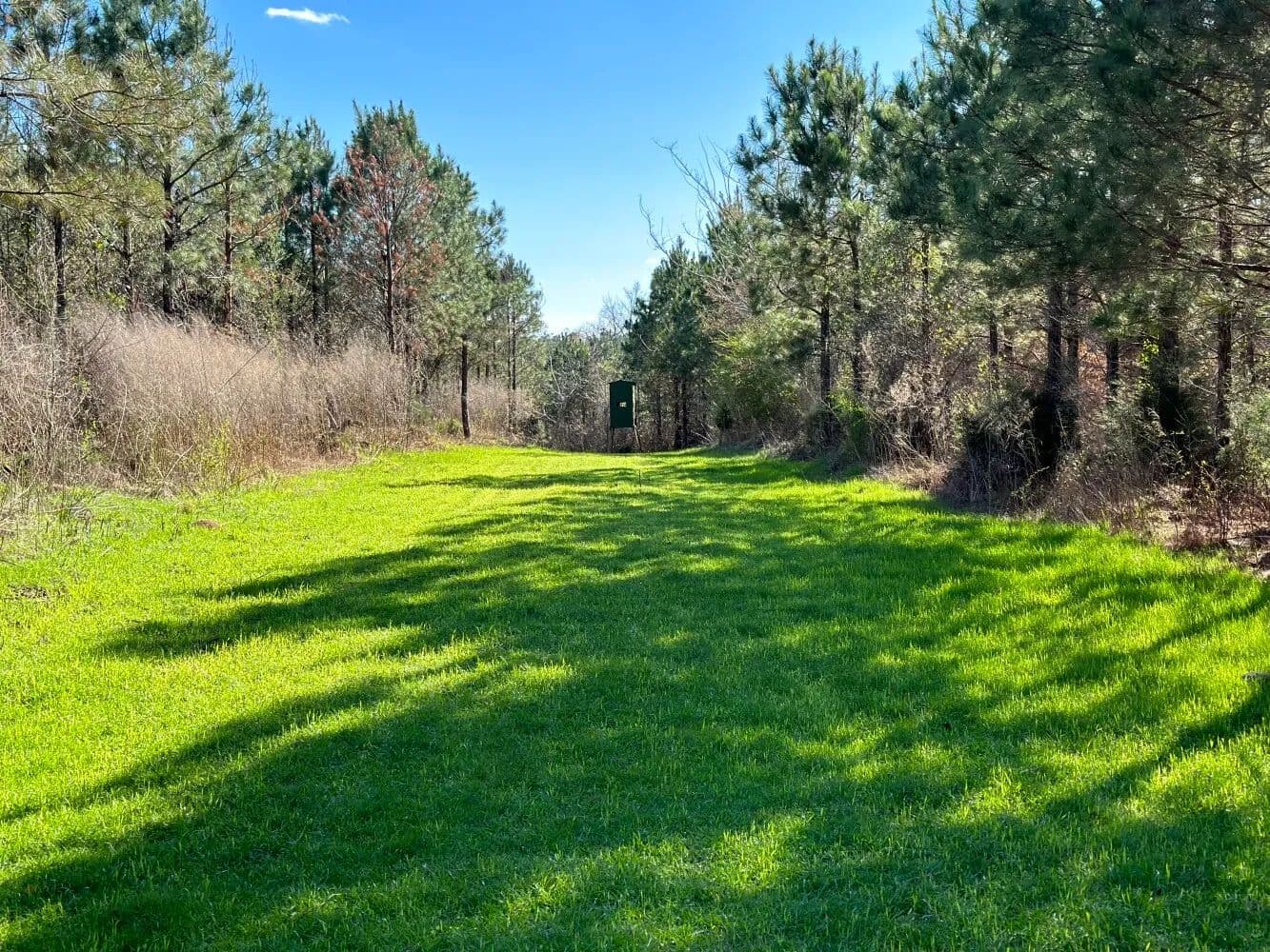 County Road 96 Investment/Homestead/Hunting Tract - Millport, Alabama, 35576