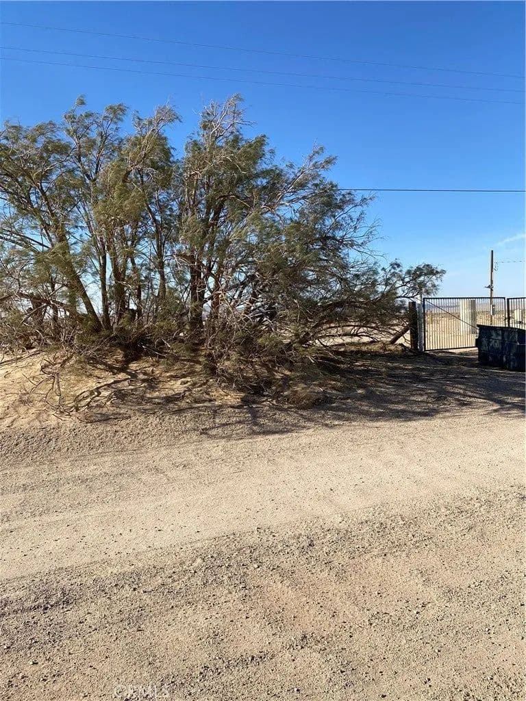 Lots & Land-Other in Newberry Springs - Newberry Springs, California, 92365
