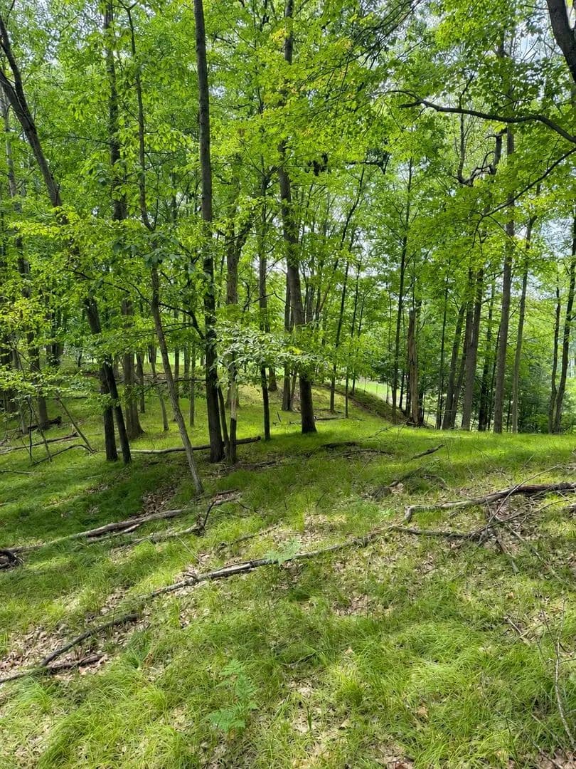 Lots & Land-Other in Canadian Lakes - Canadian Lakes, Michigan, 49346