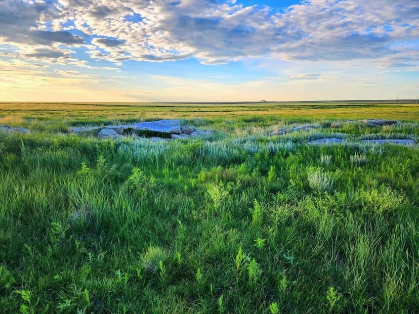 Potential Building Site With Pasture And Amazing Views