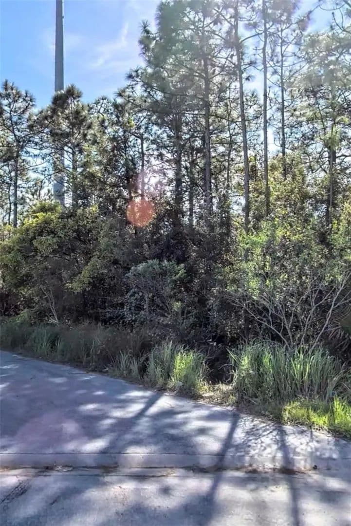 1.23 Acres of Land for Sale in ORLANDO, FL - Orlando, Florida, 32821
