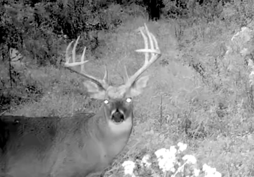 50±-Acre Farm Ideal for Big Buck Hunting – Marion County