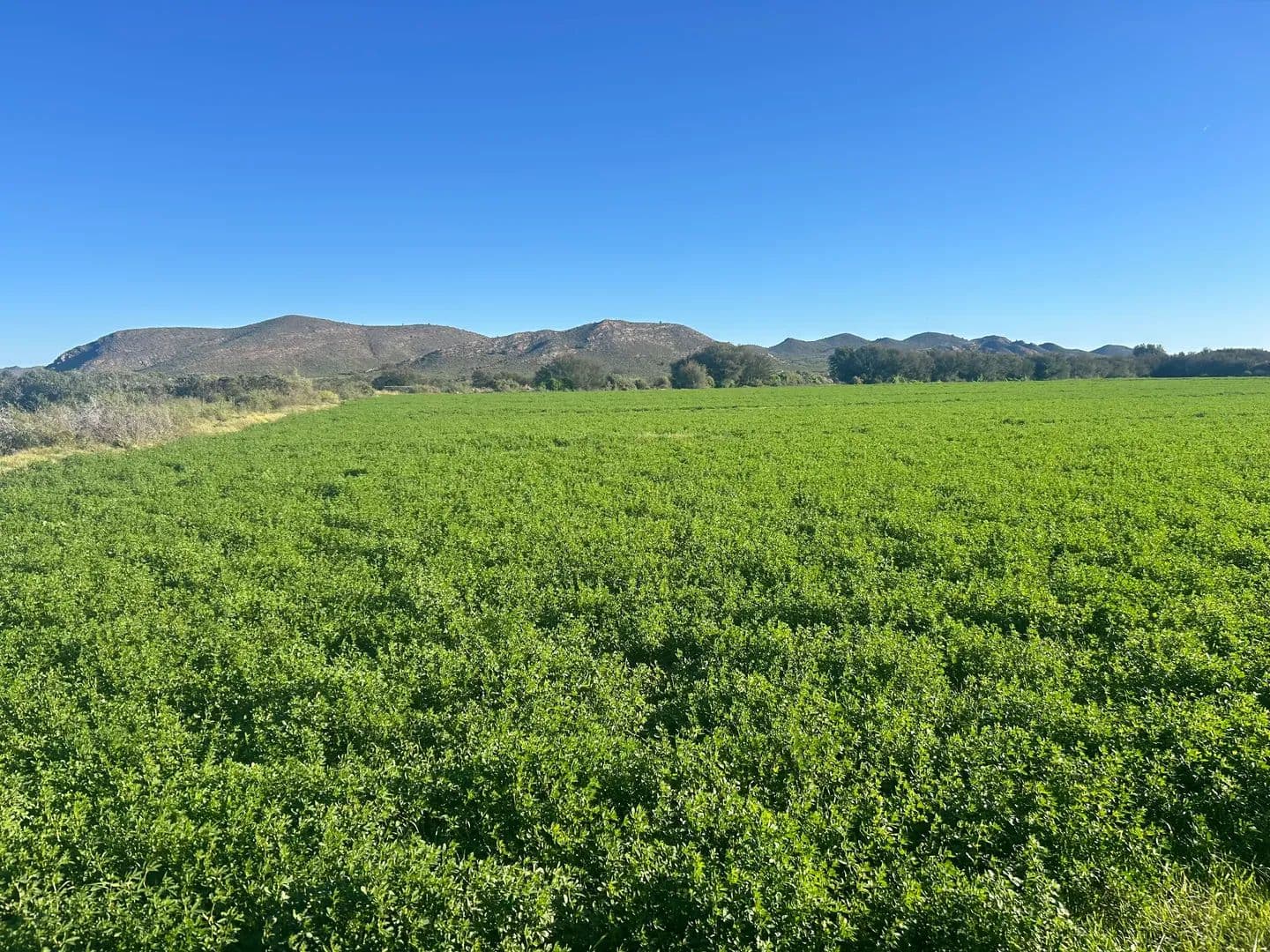 Land for Sale in Ladismith, Western Cape - South Africa