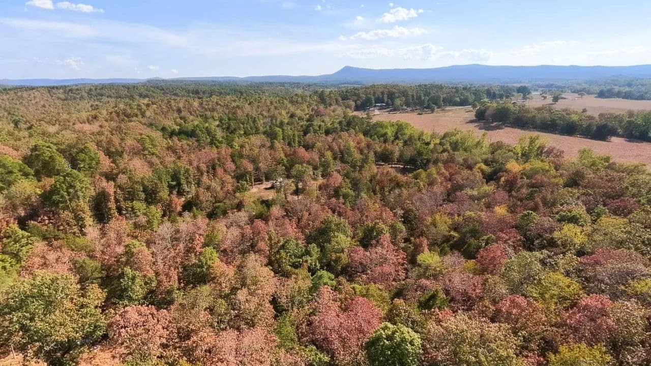 Caddo Gap 5.67 - Caddo Gap, Arkansas, 71935