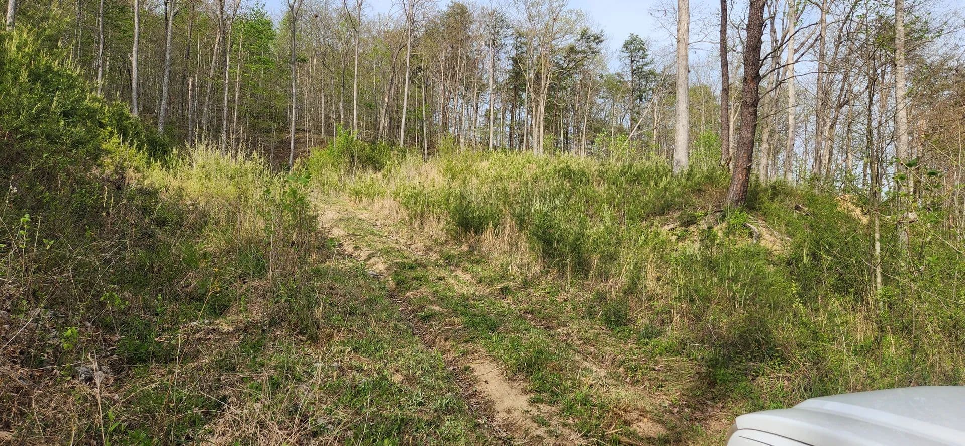Vacant Land (0-10 Acres) in Grayson - Grayson, Kentucky, 41143