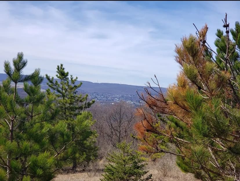 Land -Single Family Acreage in Frostburg
