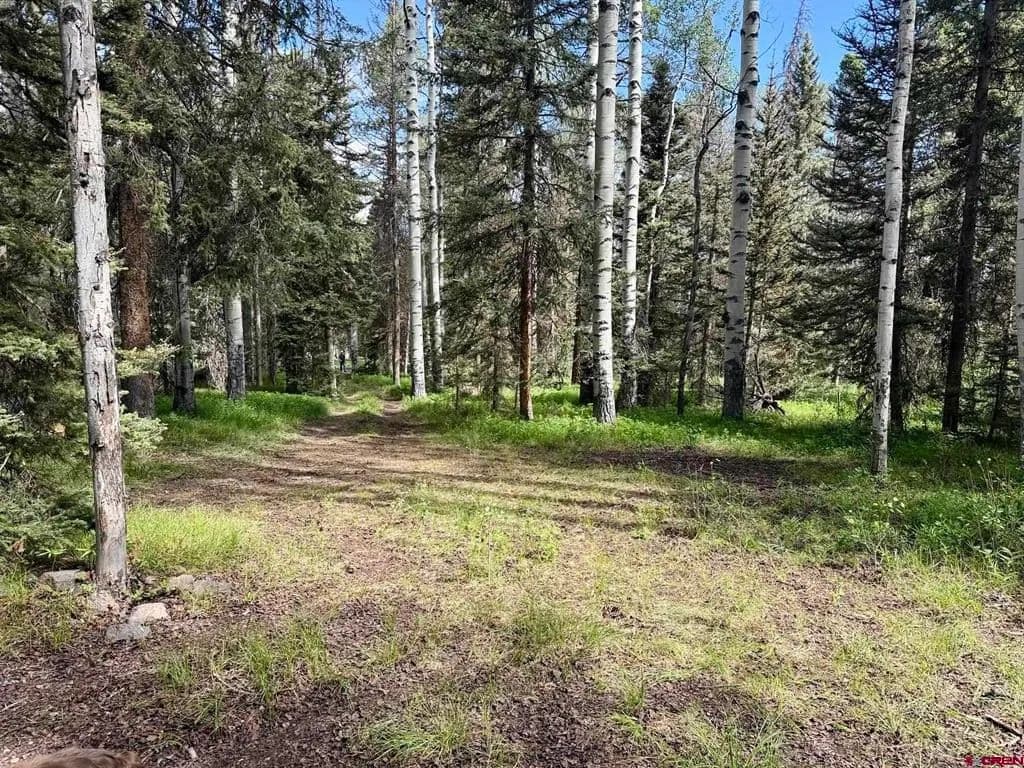 1 Acre of Land for Sale in Cimarron, CO - Cimarron, Colorado, 81220