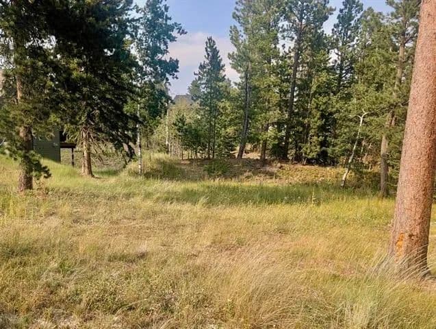 Land -Single Family Acreage in Lead - Lead, South Dakota, 57754