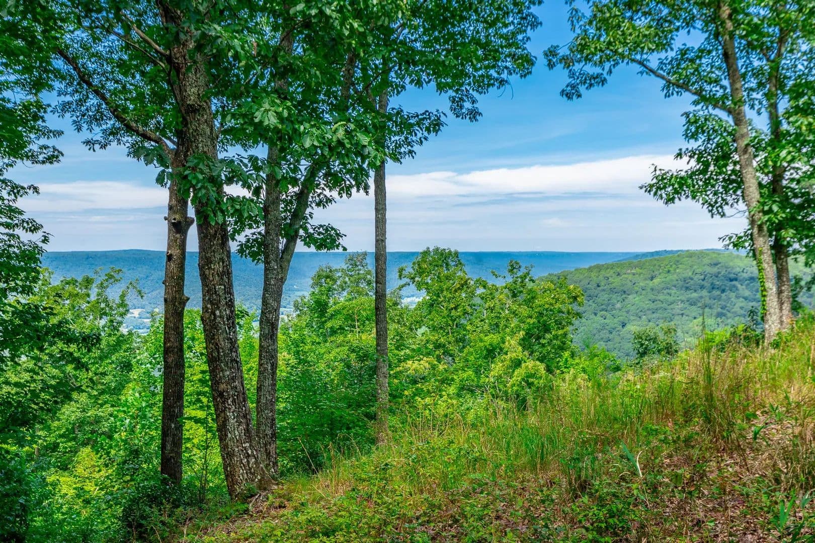 Lots & Land-Other in Jasper - Jasper, Tennessee, 37347
