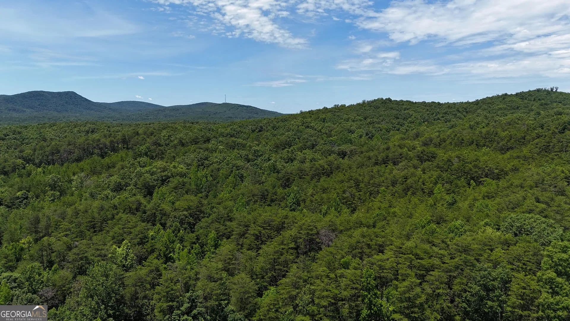 47.09 Acres of Land for Sale in Rydal, GA - Rydal, Georgia, 30171
