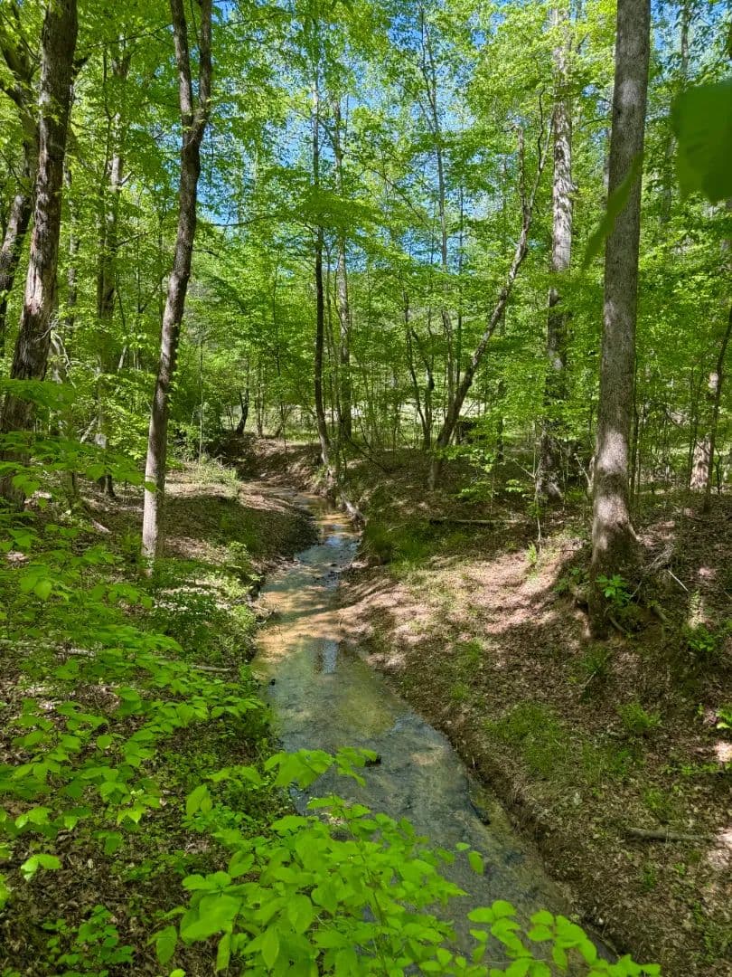 100 Acres in Choctaw County, MS 