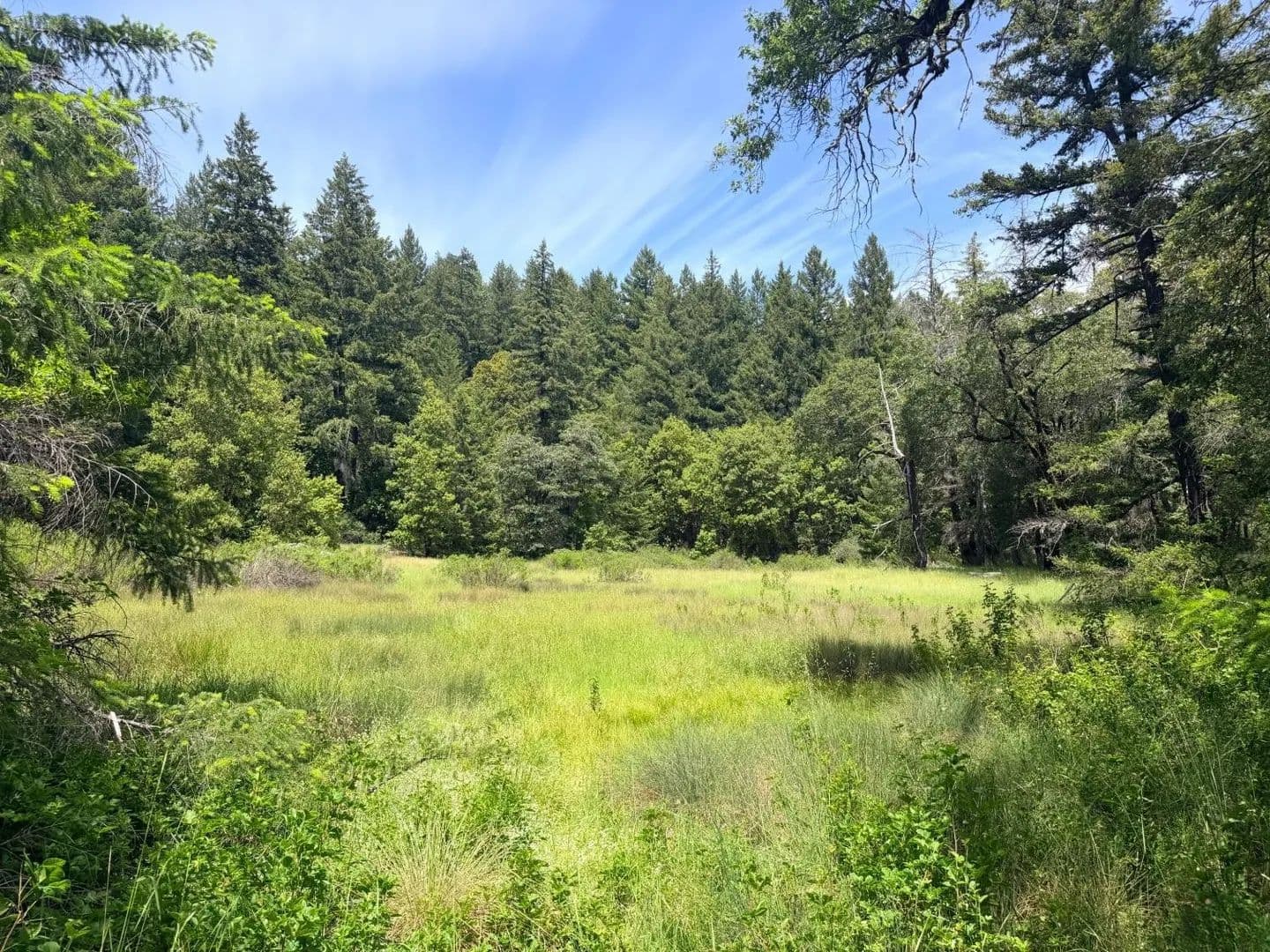 Vacant Land (10+ Acres) in Laytonville - Laytonville, California, 95454