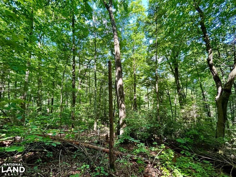 Grand Country Estates Lot 35