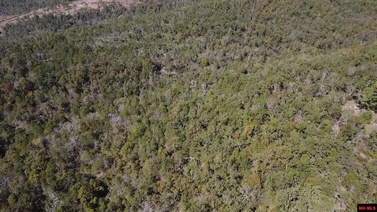 Lots & Land-Other in Salesville - Salesville, Arkansas, 72653