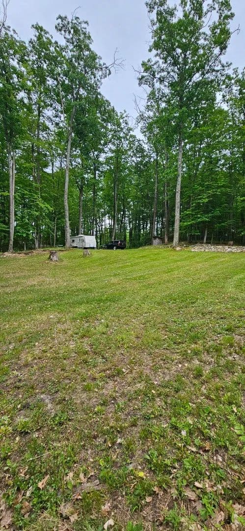 Vacant Land in Evart - Evart, Michigan, 49631