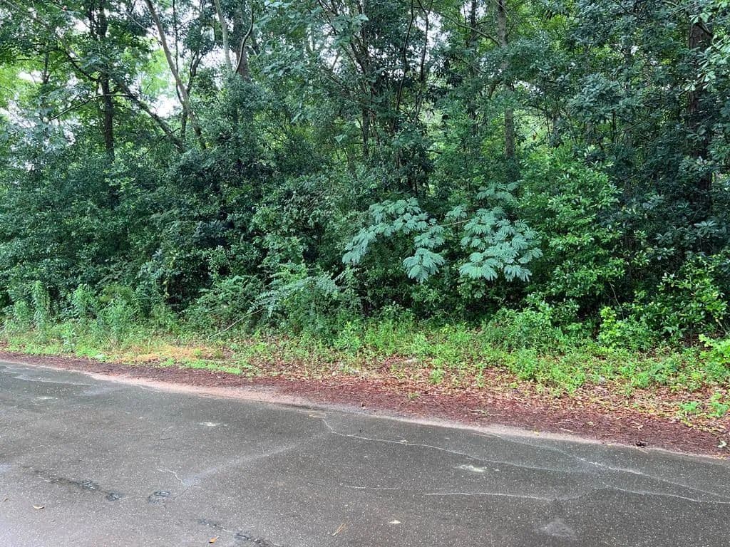 Vacant Land in Richland - Richland, Georgia, 31825