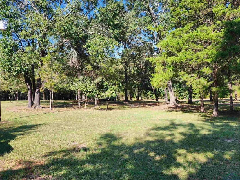 Vacant Land in Avinger