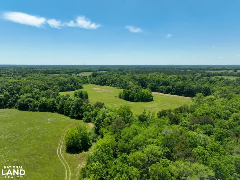 The Greensboro Blackbelt Farm: Timber, Hunting and Recreational Tract