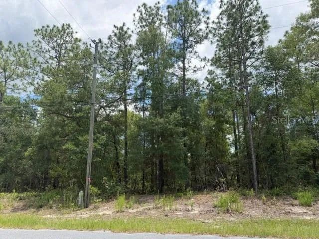 0.26 Acres of Land for Sale in DUNNELLON, FL - Dunnellon, Florida, 34434