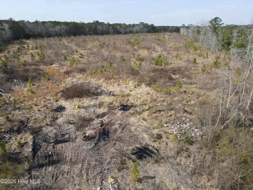 Lots & Land-Other in Woodland