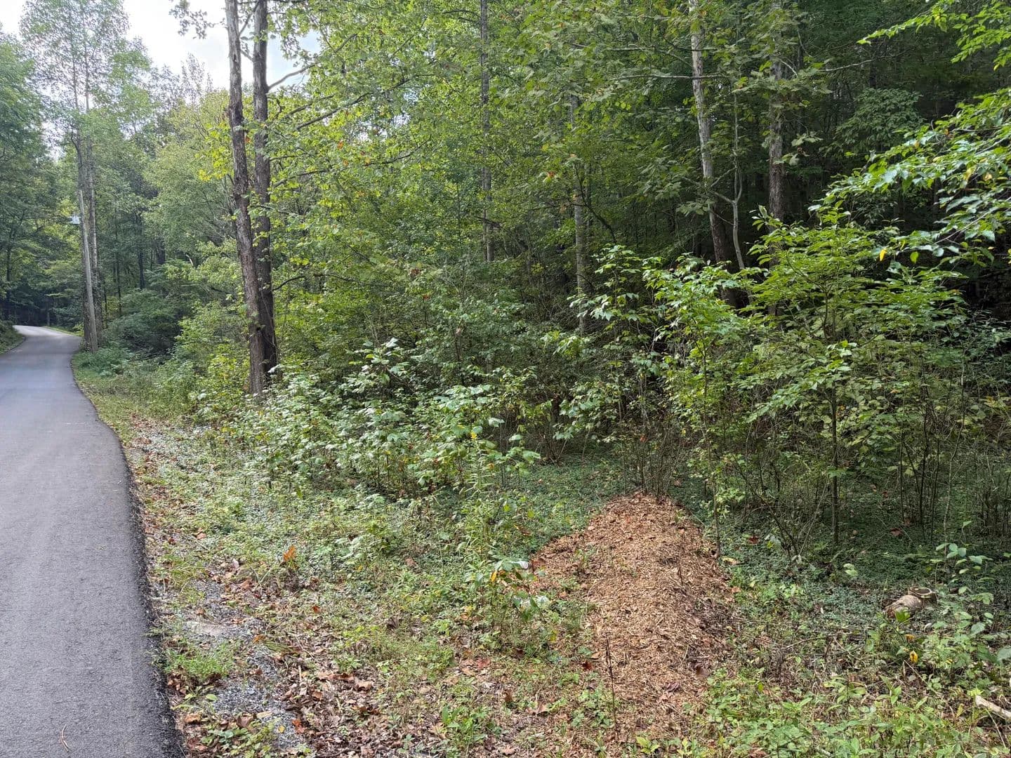 43.32 Acres of Land for Sale in Bulls Gap, TN - Bulls Gap, Tennessee, 37711