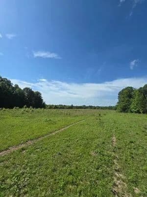 Property from 153 County Road 123 - KW - Houlka, Mississippi, 38850