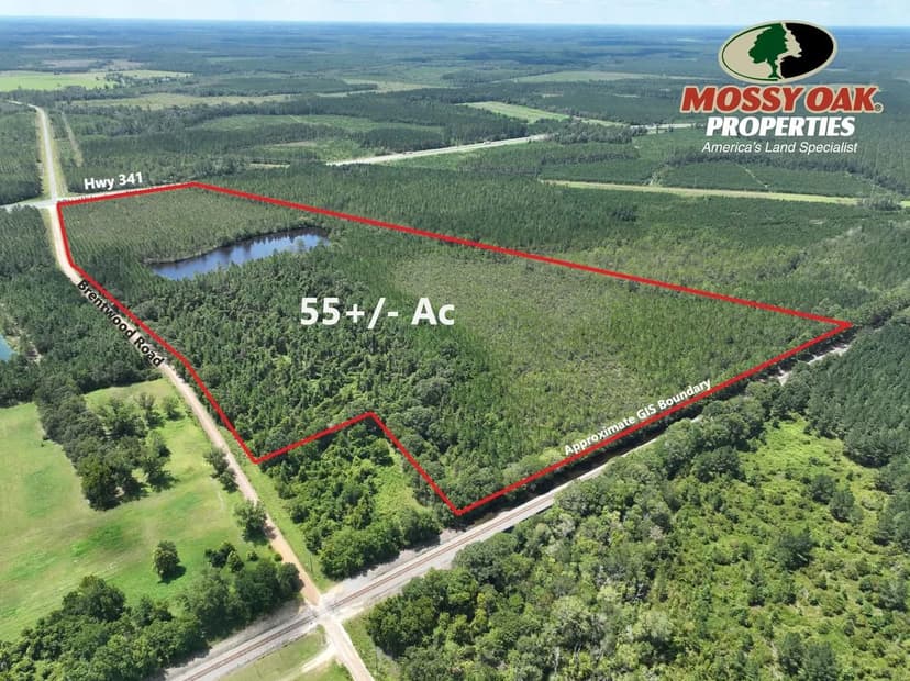 55+/- Acres with 4.75+/- Acre Lake for Sale in Wayne Co, GA