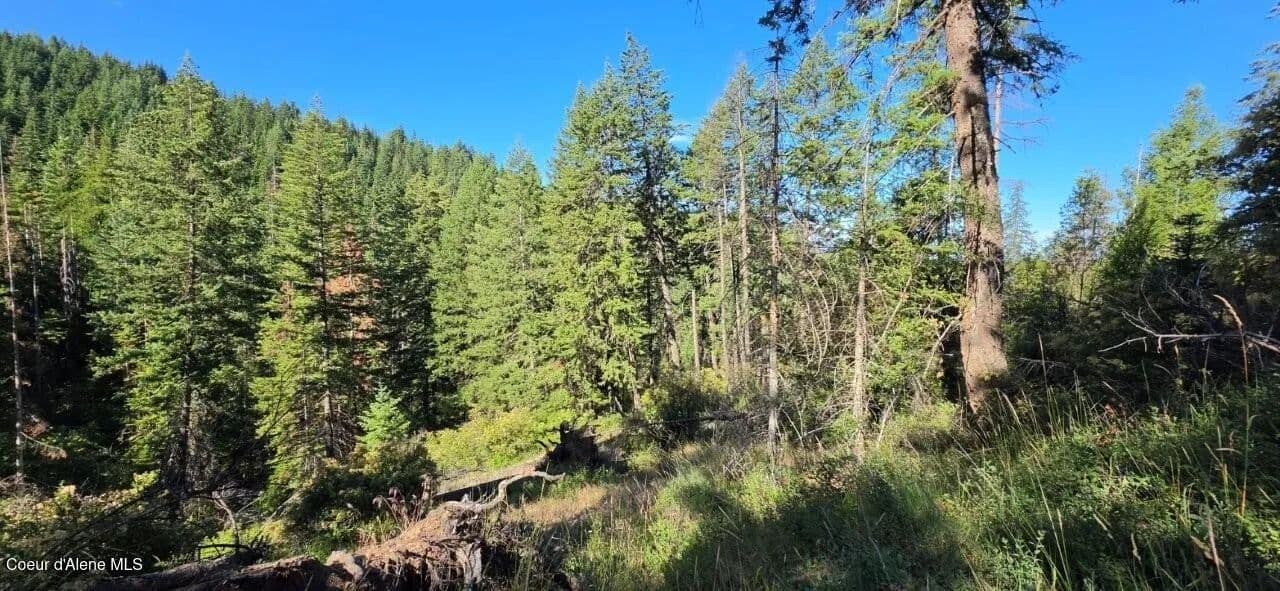 Vacant Land in Coeur d'Alene - Coeur d'Alene, Idaho, 83814