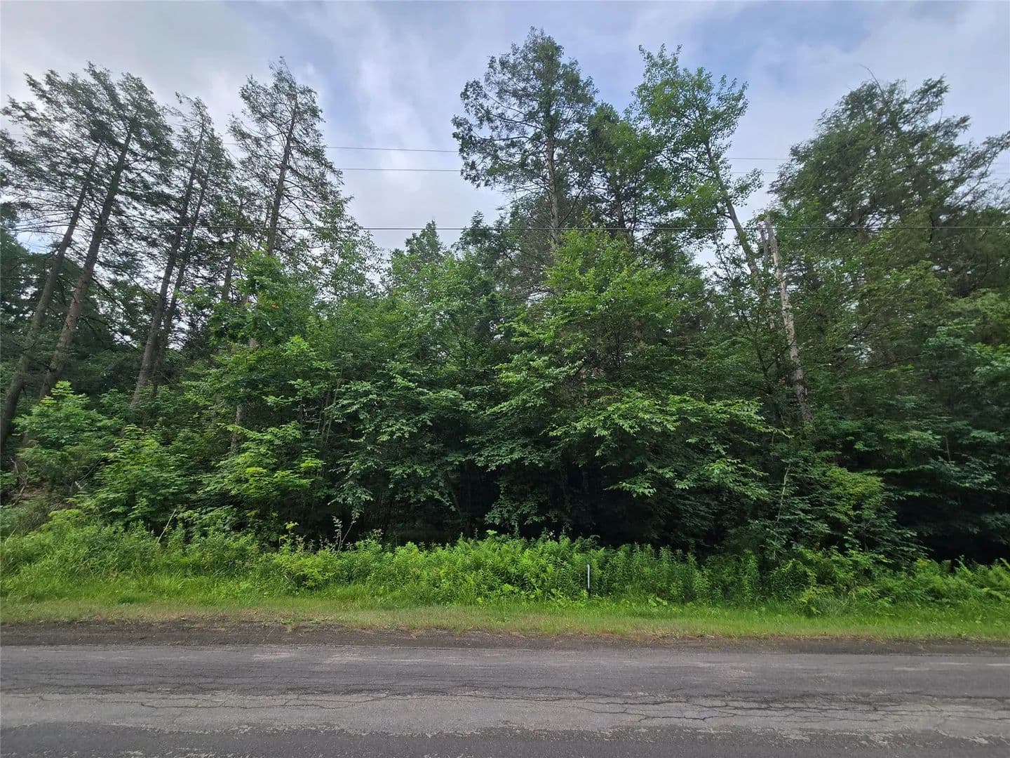 Vacant Land in Binghamton - Binghamton, New York, 13905