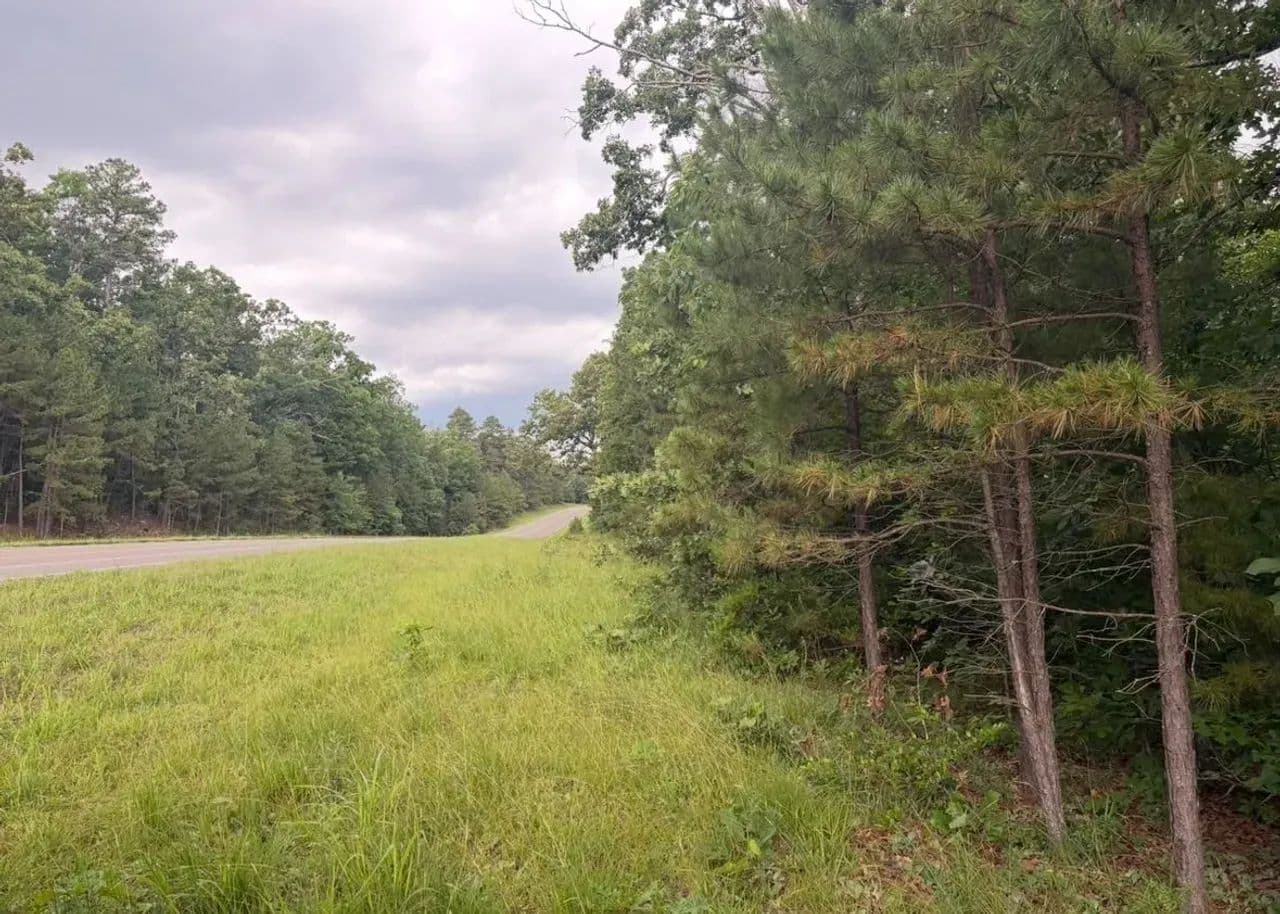 60± AC For Sale in Reynolds Co. - Ellington, Missouri, 63638