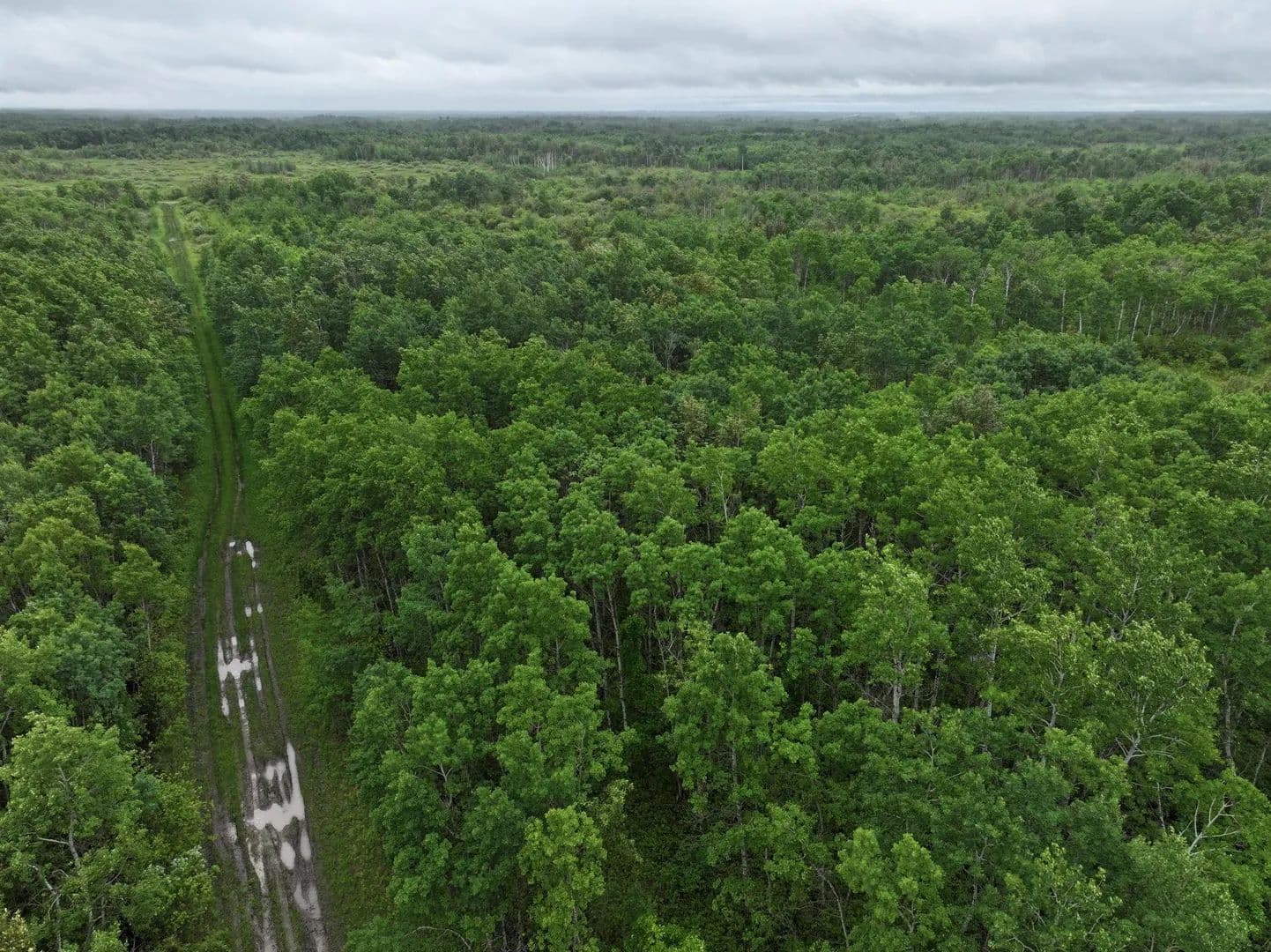 120 Acres of Land for Sale in Lancaster, Minnesota - Lancaster, Minnesota, 56735