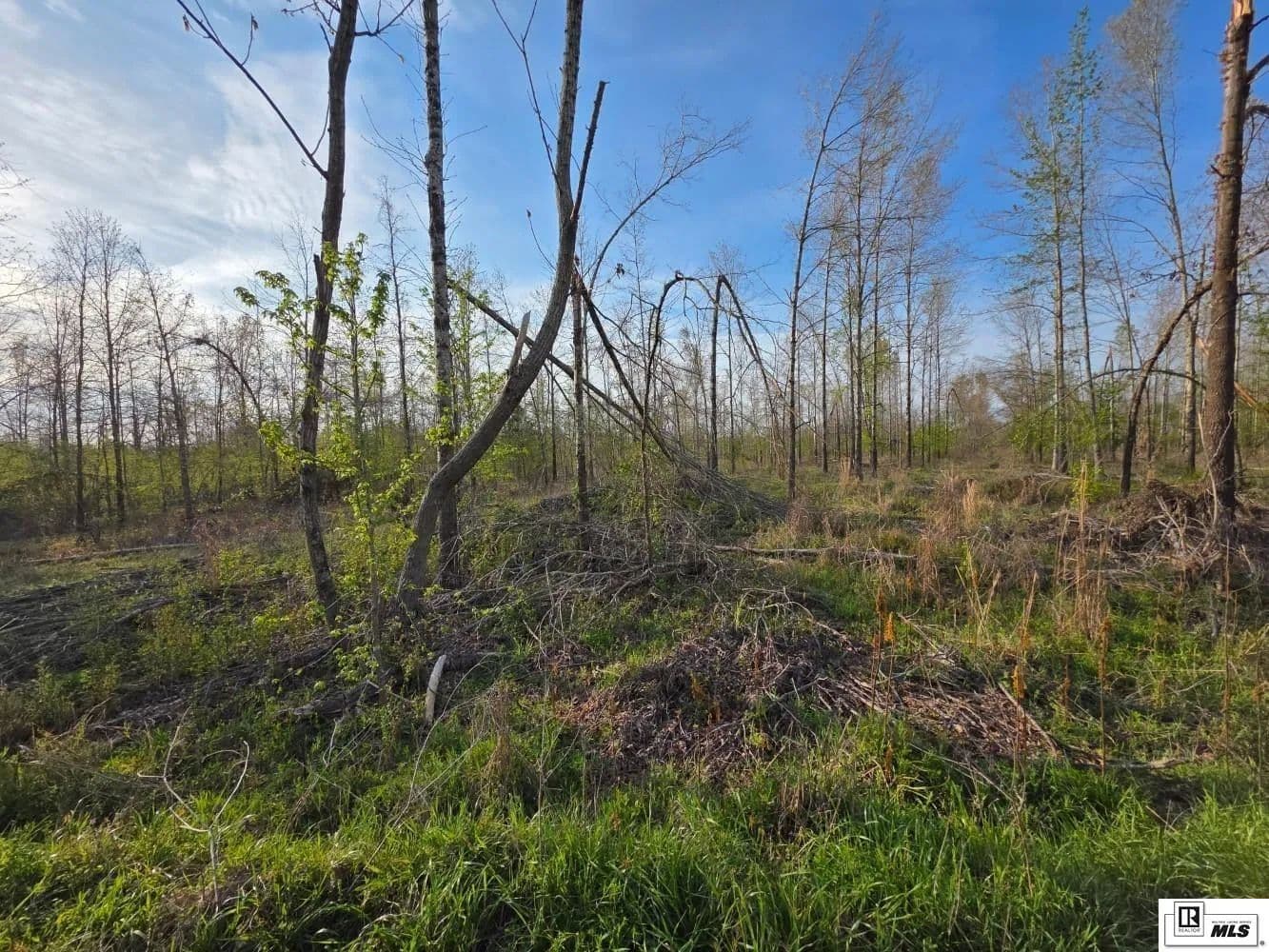 Vacant Land in Mangham - Mangham, Louisiana, 71259