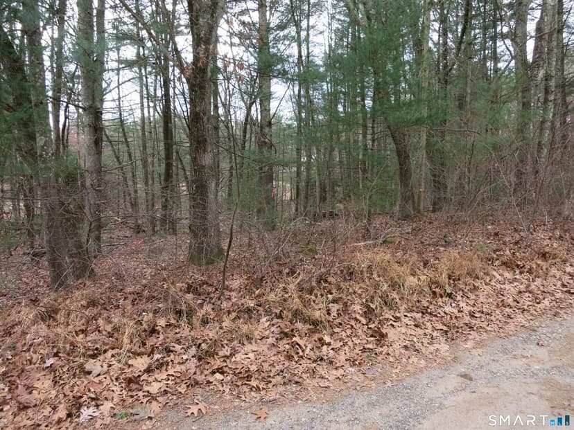 Vacant Land in East Haddam
