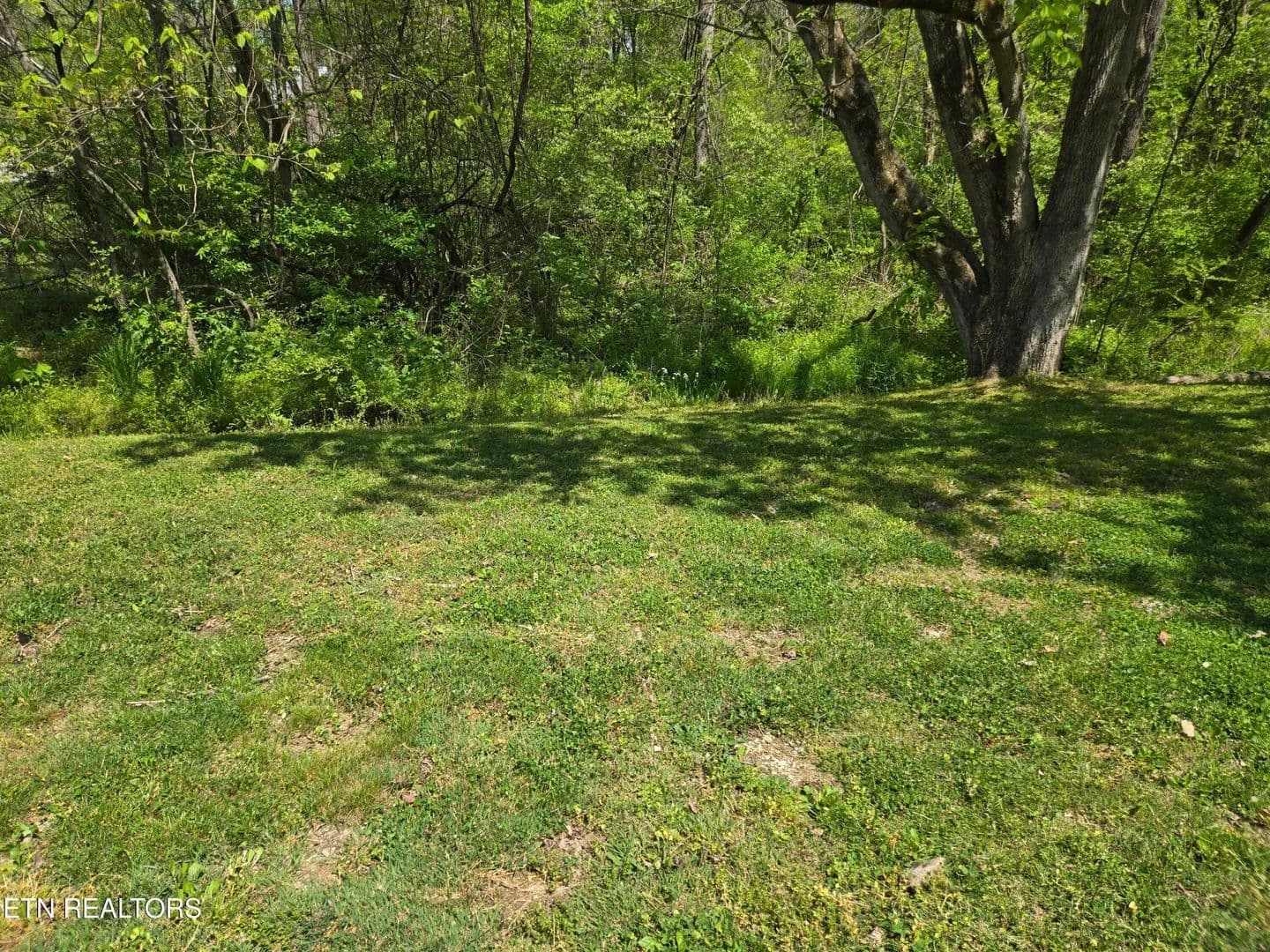 Lots & Land-Other in Harriman - Harriman, Tennessee, 37748